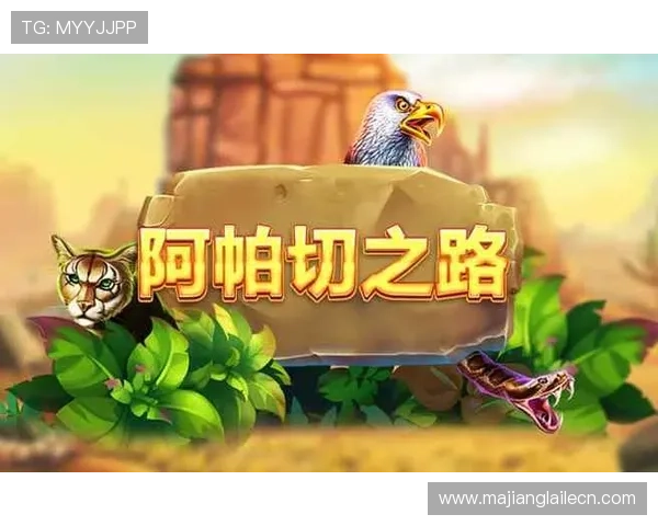 问鼎pg娱乐电子游戏下载入口：最新版本下载地址及更新内容一览